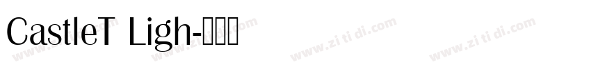 CastleT Ligh字体转换